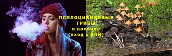скорость Богданович